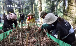 Niềm vui ngày Xuân của người Xê Đăng ở Kon Tum