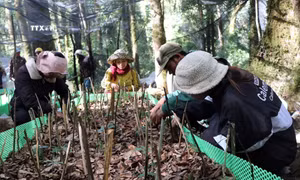 Niềm vui ngày Xuân của người Xê Đăng ở Kon Tum