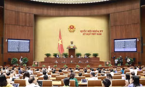Kỳ họp thứ 5, Quốc hội khóa XV: Thảo luận về tình hình phát triển kinh tế - xã hội