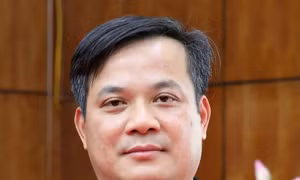 Phê chuẩn kết quả bầu, miễn nhiệm Phó Chủ tịch UBND 2 tỉnh, thành phố
