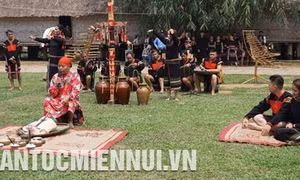 Tái hiện Lễ cúng cây nêu cầu an của đồng bào dân tộc Ê Đê