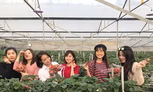 Sức trẻ góp phần thay đổi nông thôn vùng cao Lào Cai