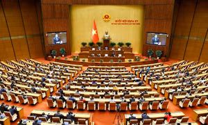 Quang cảnh phiên họp. Ảnh: Doãn Tấn - TTXVN