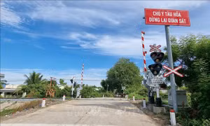 Hệ thống cảnh báo cần chắn tự động được lắp đặt tại vị trí đường ngang dân sinh giao với đường sắt đoạn qua địa bàn xã Phước Thuận (huyện Ninh Phước, Ninh Thuận) để đảm bảo an toàn giao thông. Ảnh: Nguyễn Thành – TTXVN 