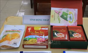 Có 23 sản phẩm OCOP đạt Chứng nhận tiêu biểu vùng Đồng bằng sông Cửu Long