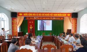 Xây dựng mô hình sản xuất cao su tiểu điền bền vững