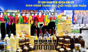 Mở rộng thị trường cho thương hiệu mật ong Hòa Bình