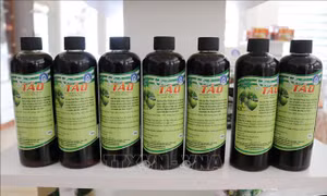 Si rô táo được chế biến từ quả táo Ninh Thuận. Ảnh: Nguyễn Thành – TTXVN