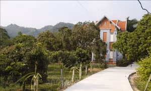 Nhãn Bình Ca giúp xã Thái Bình đi đầu trong xây dựng nông thôn mới