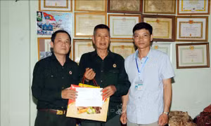 Đại diện Hội Cựu chiến binh huyện Mường La và xã Mường Bú đến tặng quà thương binh 4/4 Quàng Văn Sơn (ở giữa) tại bản Giàn, xã Mường Bú. Ảnh: Quang Quyết-TTXVN
