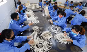 Huyện Chương Mỹ (Hà Nội) hiện có 142 hợp tác xã, doanh nghiệp, cơ sở sản xuất thuộc 32 xã, thị trấn chuyên sản xuất và kinh doanh sản phẩm mây tre giang đan.