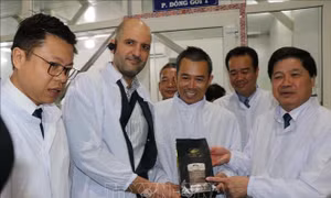 Sản phẩm cà phê của Công ty TNHH Vĩnh Hiệp đủ năng lực đáp ứng mọi nhu cầu và tiêu chuẩn xuất khẩu sang EU. Ảnh: Hồng Điệp - TTXVN