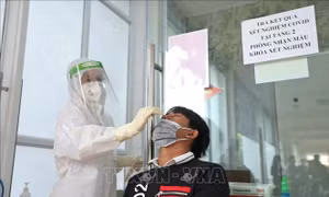 Yên Bái: Người dân không chủ quan, chủ động phòng, chống bệnh truyền nhiễm