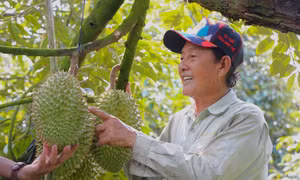 Câu lạc bộ nông dân tỷ phú - hạt nhân tri thức hóa nông nghiệp Hậu Giang