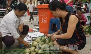 Lạng Sơn tổ chức Ngày hội Na Chi Lăng lần thứ nhất năm 2017