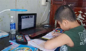 Học sinh TP.HCM trong giờ học trực tuyến môn Tiếng Việt. Ảnh: Thu Hoài/TTXVN