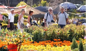 Thị trường tour Tết khởi động sớm