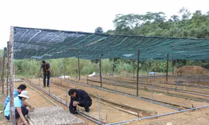 Nâng mức thu nhập của đồng bào dân tộc thiểu số 40 triệu đồng/người/năm