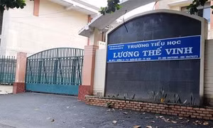 Thành phố Hồ Chí Minh: Đình chỉ giảng dạy giáo viên tiểu học tát học sinh