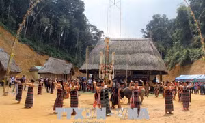 Giảm thiểu tình trạng tảo hôn và hôn nhân cận huyết thống của đồng bào dân tộc tỉnh Quảng Nam