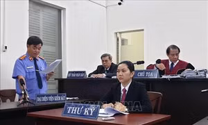 Đại diện Viện Kiểm sát nhân dân Thành phố Hồ Chí Minh nêu quan điểm