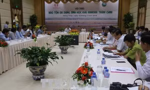 Tìm giải pháp bảo tồn hiệu quả đa dạng sinh học khu Ramsar Tràm Chim