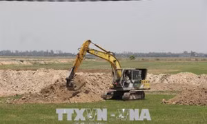 Long An không khuyến khích chuyển đổi từ trồng lúa sang đào ao nuôi cá