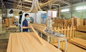 ​Ngành chế biến gỗ hướng đến 80% sản xuất có bản quyền