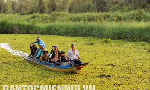 Nhiều biện pháp giữ rừng và bảo tồn đa dạng sinh học tại Vườn Quốc gia U Minh Thượng (Kiên Giang)