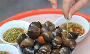 Món ăn bài thuốc chữa bệnh từ ốc