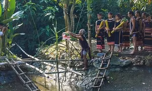 Tái hiện Lễ mừng lúa mới dân tộc Xơ Đăng tỉnh Kon Tum