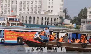 Cần Thơ thả trên 3 tấn cá giống về tự nhiên