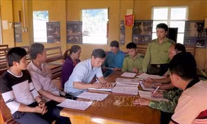 Huyện Lâm Bình là điểm sáng trong công tác quản lý, bảo vệ rừng