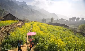 Những điểm du lịch ấn tượng nhất tại Lào Cai