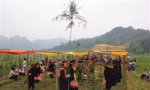 Những khúc hát trong Lễ hội Nàng Hai