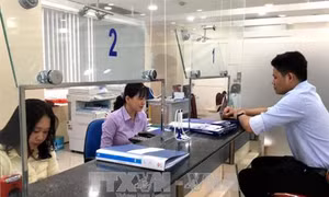 Thành phố Hồ Chí Minh: Xây dựng các ứng dụng thông minh trong lĩnh vực cải cách hành chính