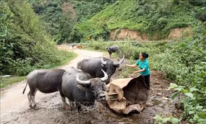 Xây dựng Đảng, chính quyền ở vùng đồng bào dân tộc Mảng (Bài 3)