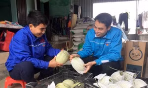 Anh Lê Ngọc Đạt làm giàu từ mô hình nông nghiệp công nghệ cao