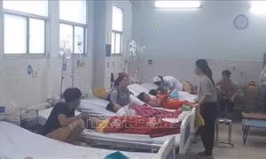Xác định nguyên nhân vụ ngộ độc thực phẩm tập thể tại Thành phố Hồ Chí Minh