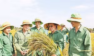 Doanh nhân Trần Mạnh Báo - Người “đối thoại với cánh đồng”