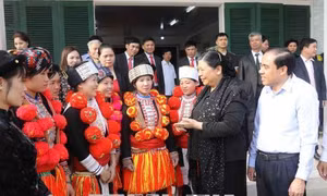 Phó Chủ tịch Thường trực Quốc hội Tòng Thị Phóng thăm, làm việc tại tỉnh Tuyên Quang