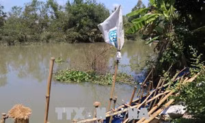 Tiền Giang sản xuất thích ứng hạn mặn, giảm nhẹ thiên tai