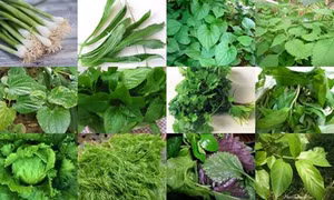 Tác dụng chữa bệnh ít biết của các loại rau thơm