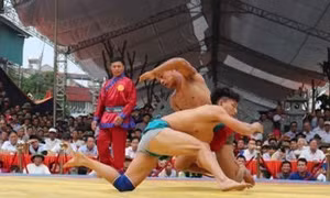 Bảo tồn và phát triển vật dân tộc gặp nhiều khó khăn