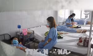 Cúm A/H1N1 bùng phát tại Thành phố Hồ Chí Minh: Không nên quá lo lắng nhưng cần đề phòng