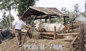 Gia Lai quan tâm phát triển kinh tế - xã hội vùng đồng bào dân tộc thiểu số