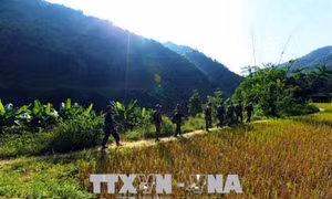 Điện Biên tổng kết 20 năm thực hiện Pháp lệnh Bộ đội Biên phòng