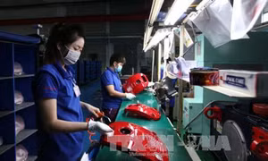 Chuyển hộ kinh doanh thành doanh nghiệp còn nhiều khó khăn (Bài 2)