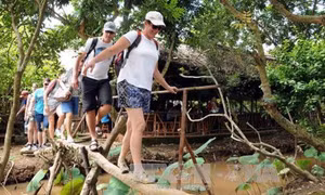 Tiền Giang liên kết xây dựng tuyến du lịch và sản phẩm du lịch đặc trưng từng vùng