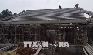 Đình chỉ xây dựng công trình bê tông hóa di tích đình Lương Xá